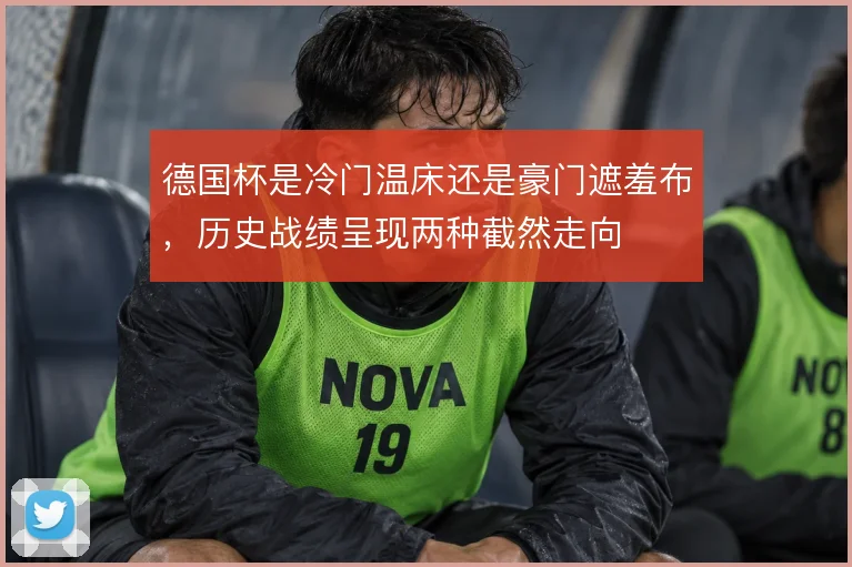 德国杯是冷门温床还是豪门遮羞布，历史战绩呈现两种截然走向